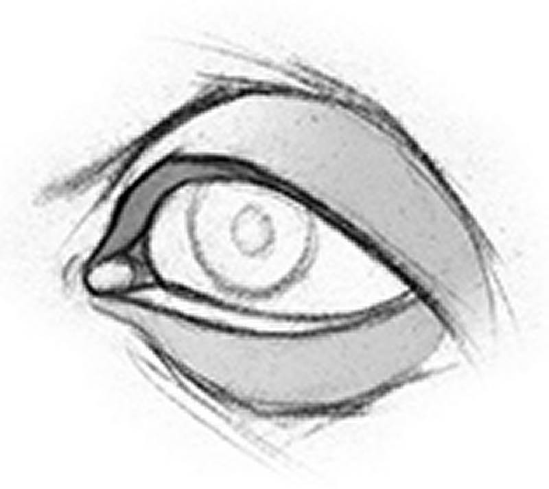 eye observation lid thickness