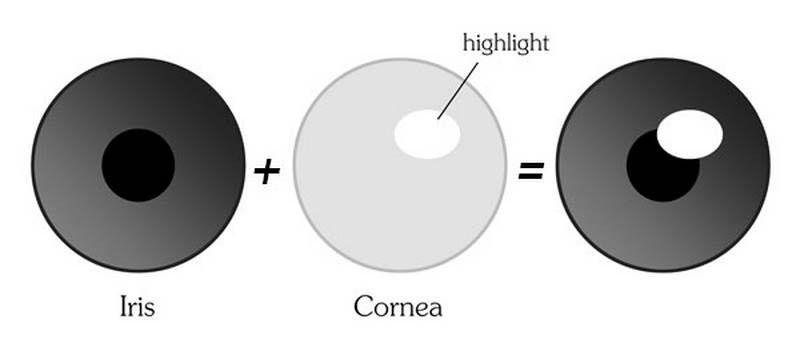 iris cornea highlight