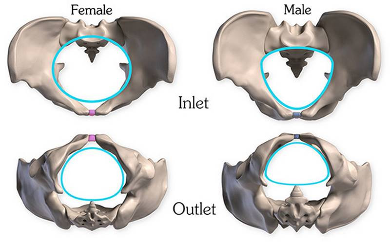 male female inlet outlet
