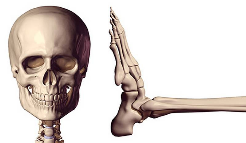 foot is still bigger then head