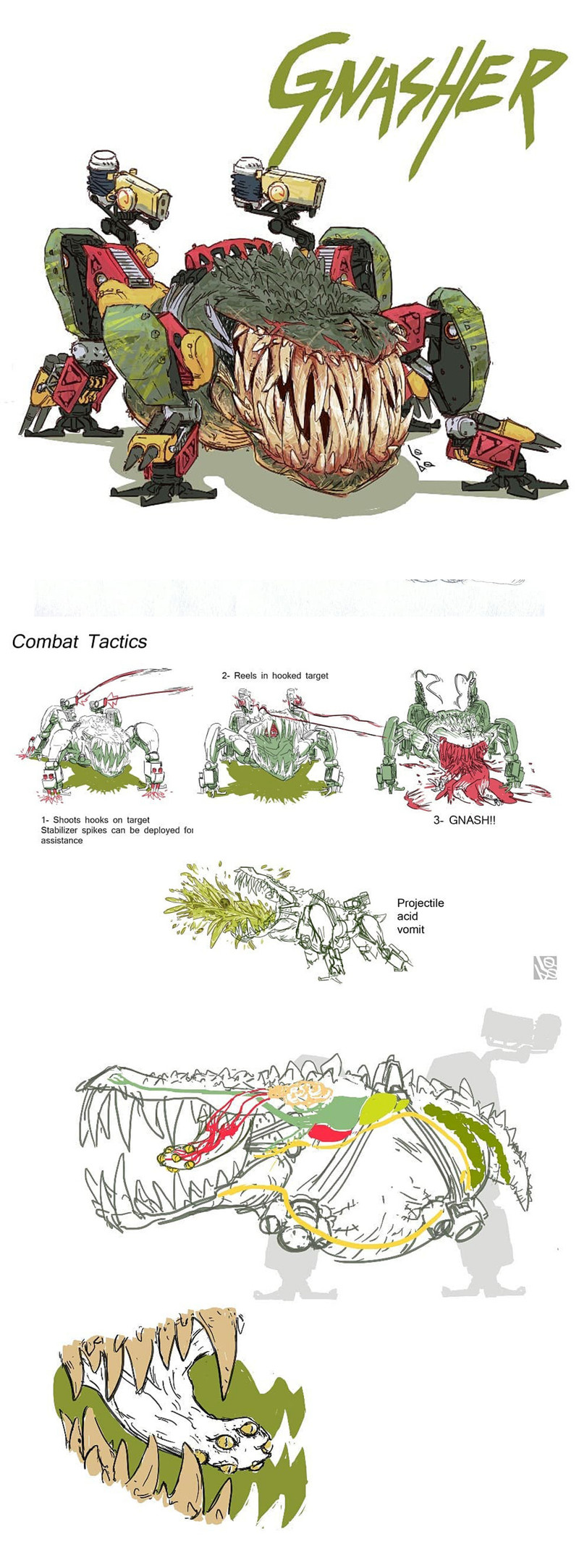 francesco lobo prokochallenge Team Choice place Feb 2020