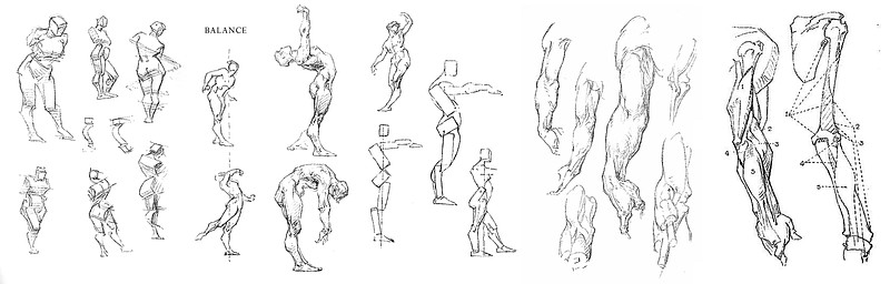 george bridgman anatomy