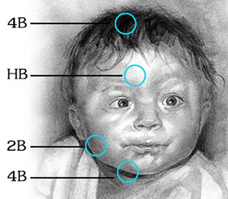 halftone and shadow shading graphite values