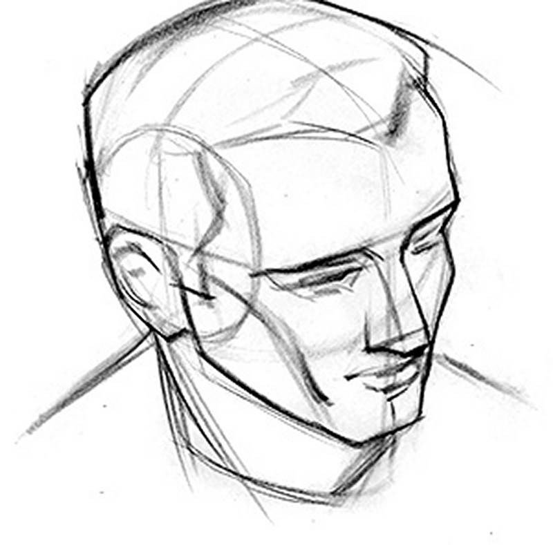 head drawing camera tilt