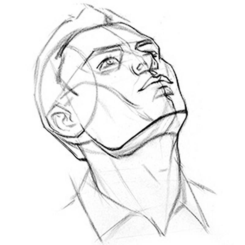loomis head drawing uptilt