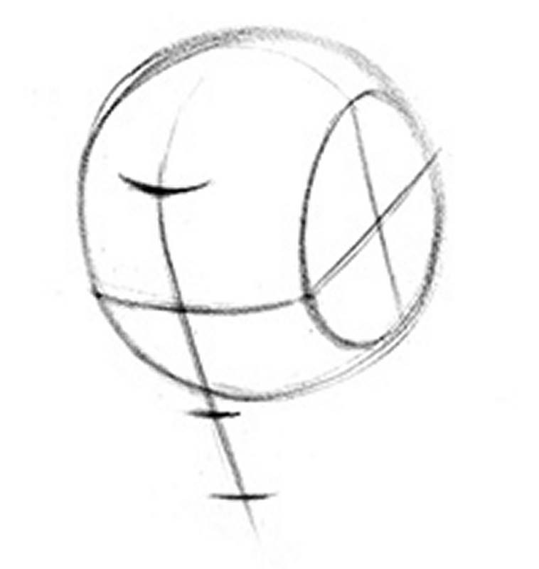 loomis head looking down