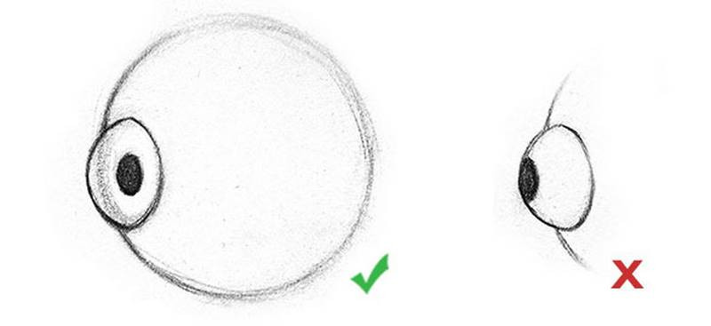 how to draw eye pupil