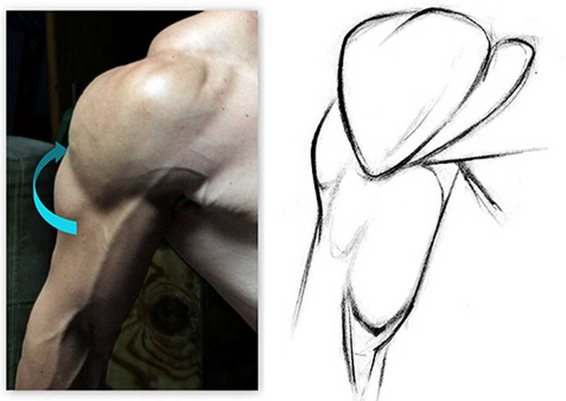 illusion of depth triceps reference and good drawing
