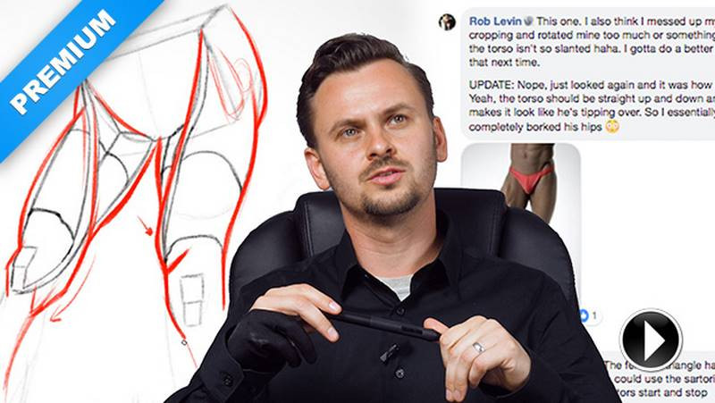 Inner Leg Muscles Premium Critiques