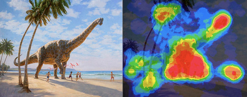james gurney heatmap eye movement