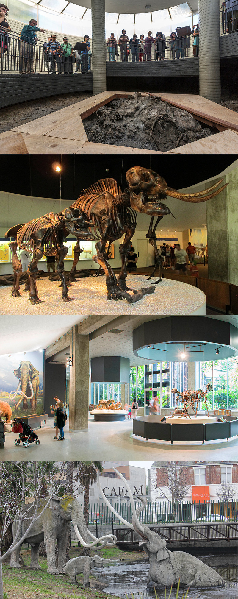 la brea tar pits