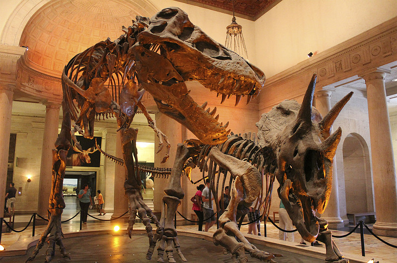 Los Angeles Natural History Museum