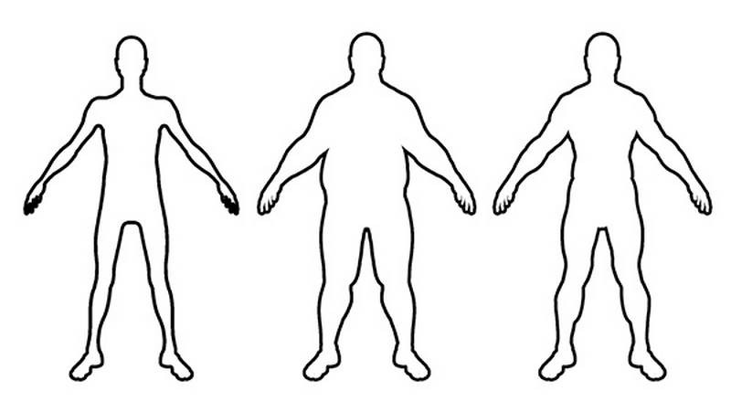 lean muscular overweight models