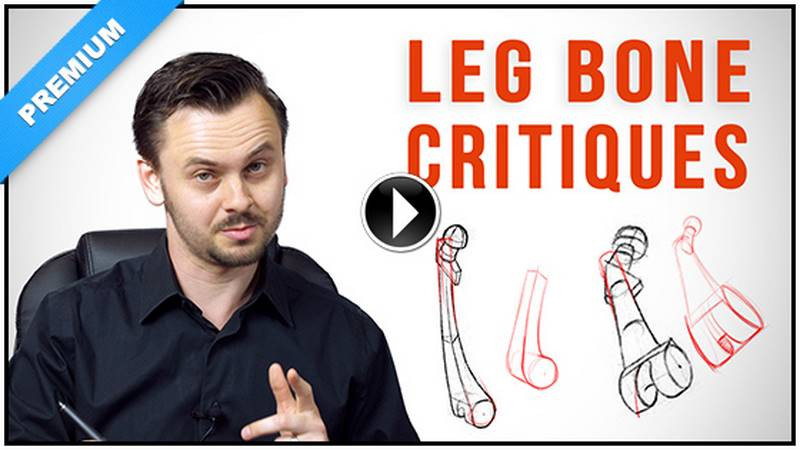 leg bone critiques