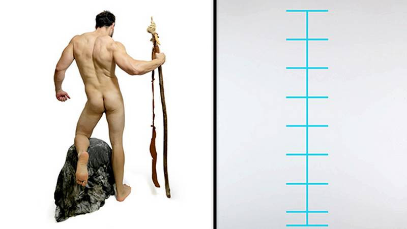 measuring relationships head units of the pose