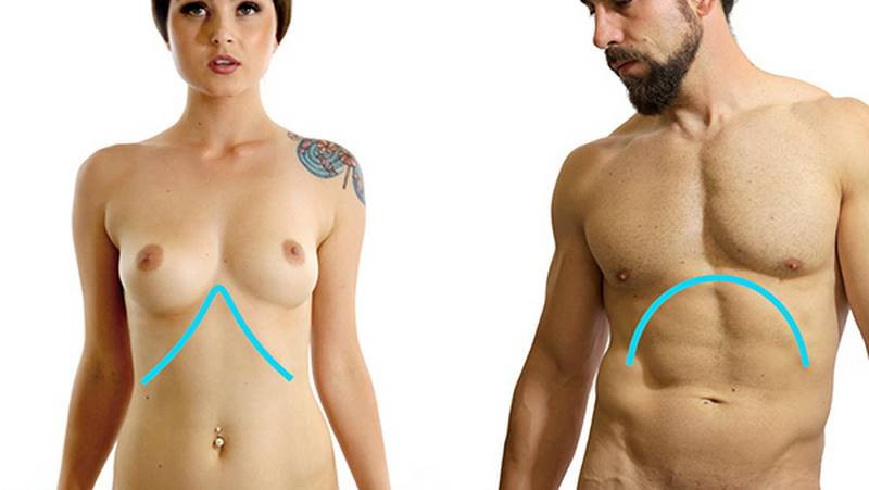 men have wider arches curving outwards and a thinner inward curve on women