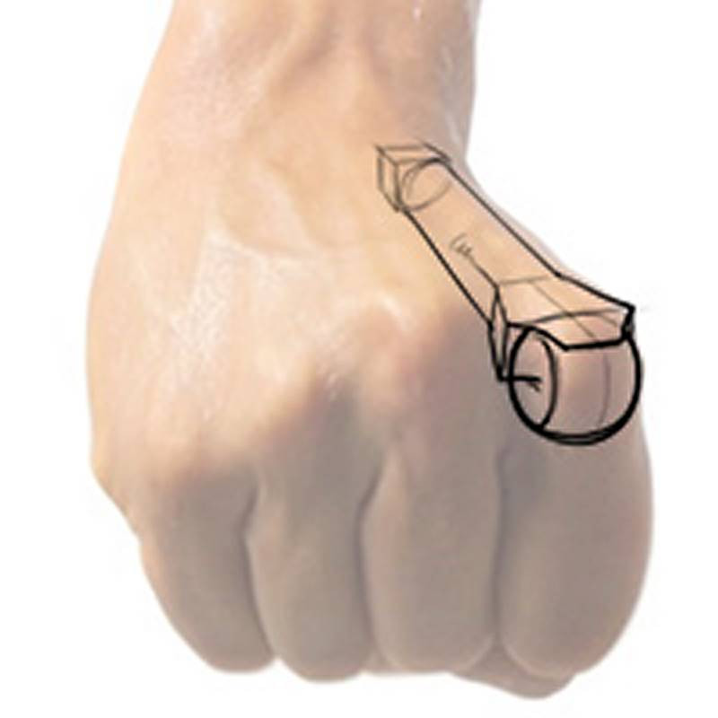 metacarpal knuckle drawing