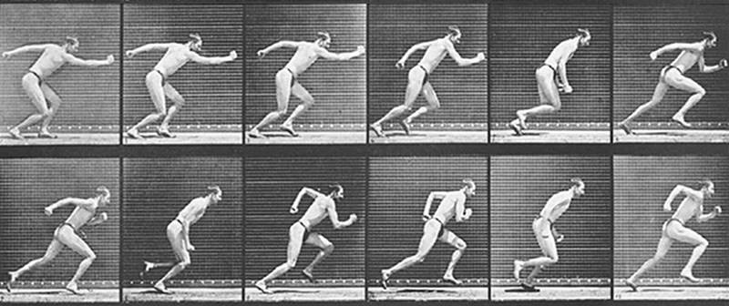 muybridge human figure in motion interesting dynamic posing
