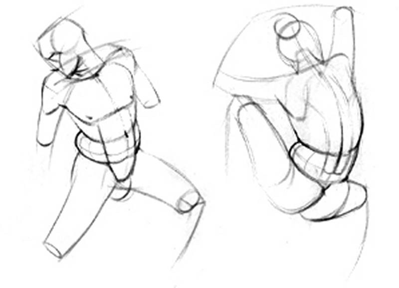 oblique love handles drawing