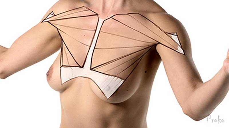 pec and breast tissue outline
