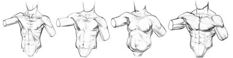 pec muscle drawing variations