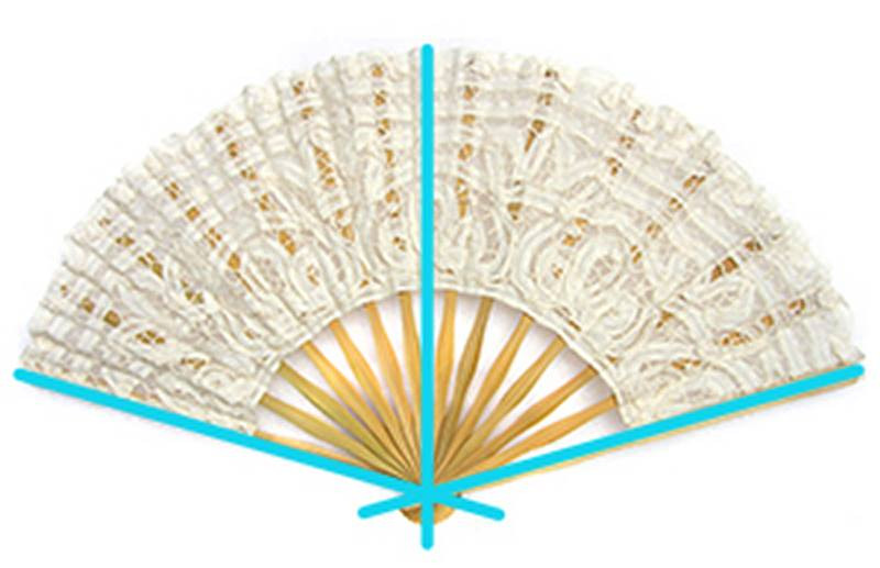 pec muscles folding fan comparison