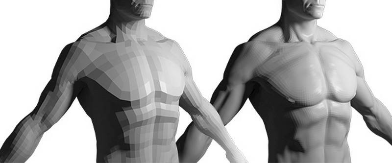 planes of the body 3d model