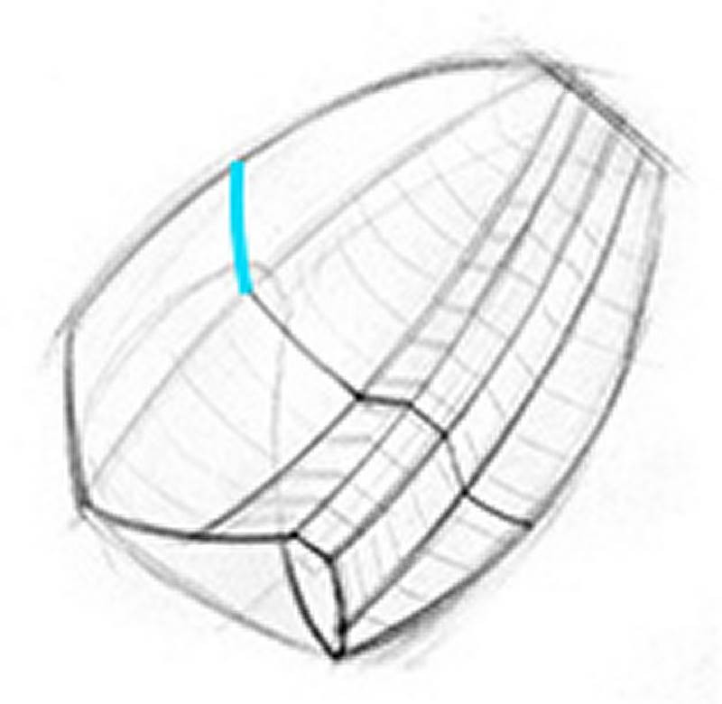 rib cage through line