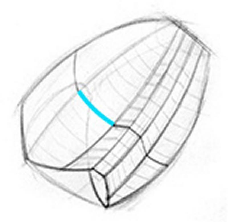 rib cage through line