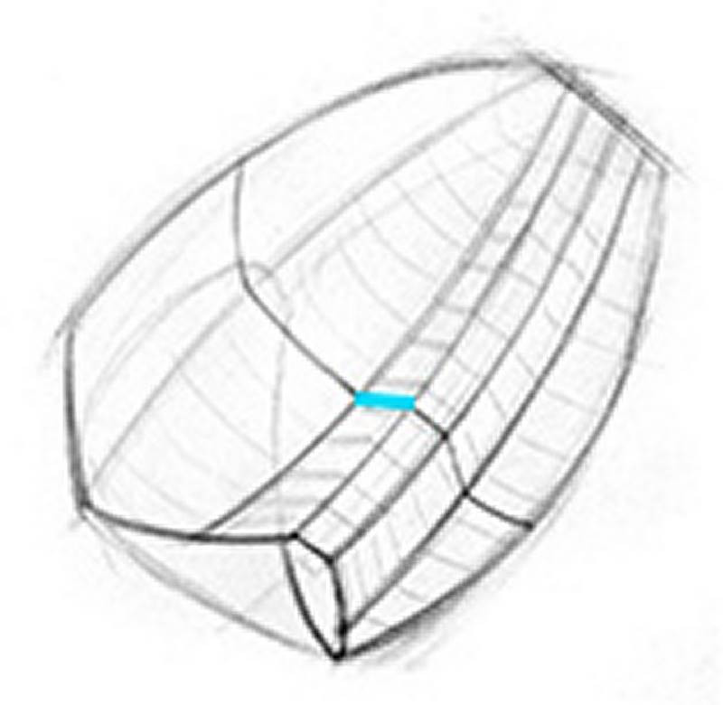 rib cage through line