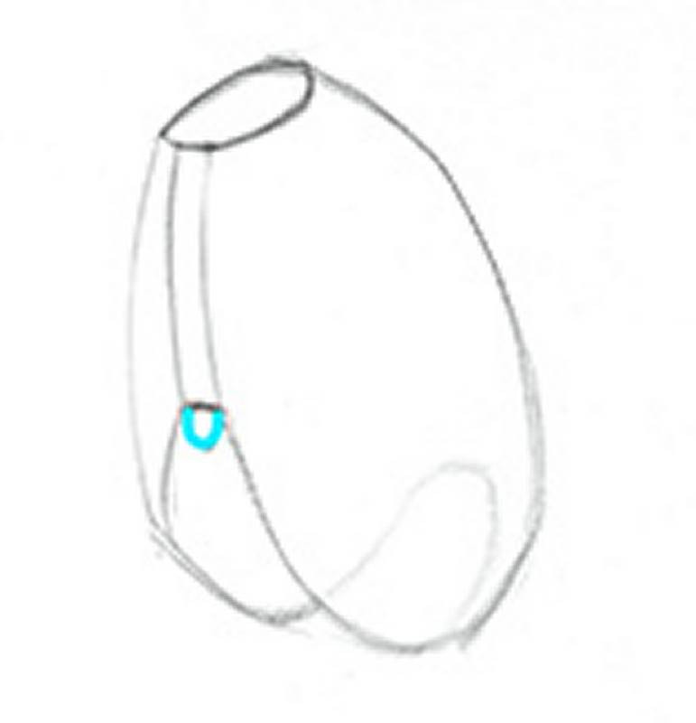 rib cage xiphoid process