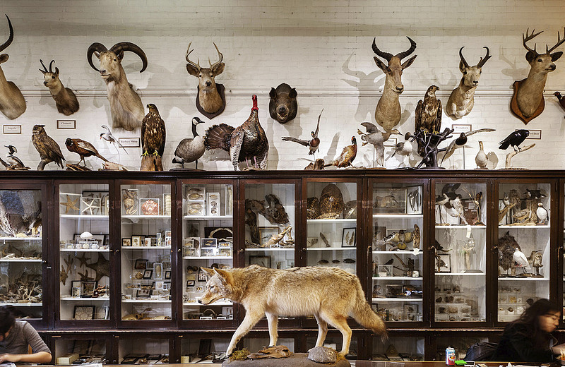 Rhode Island School of Design Nature Lab