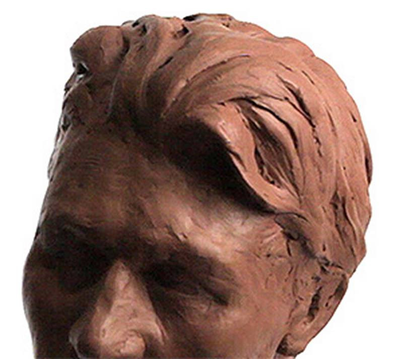 sculpted hair volume