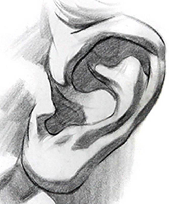 light and shadow ear drawing