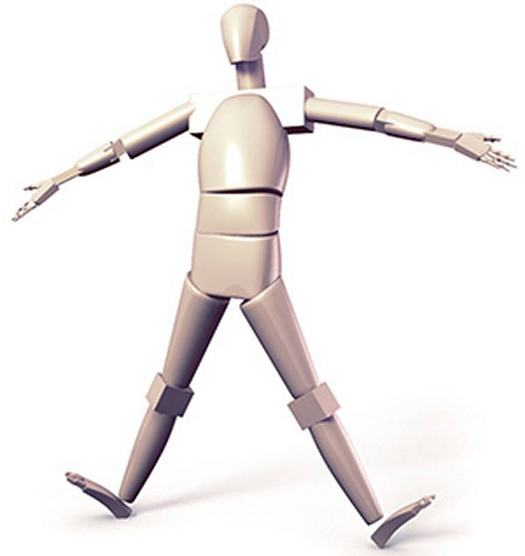 simplified body of the mannequin