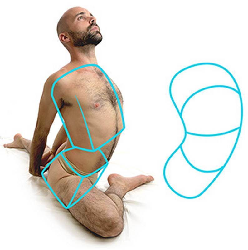 simplified to a cylinder or complex bones