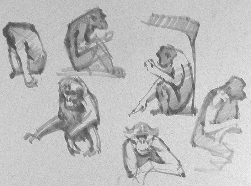 stan prokopenko sketch apes