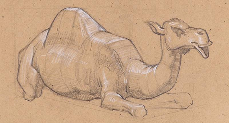 stan prokopenko sketch camel