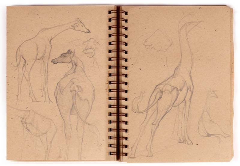 stan prokopenko sketch giraffes