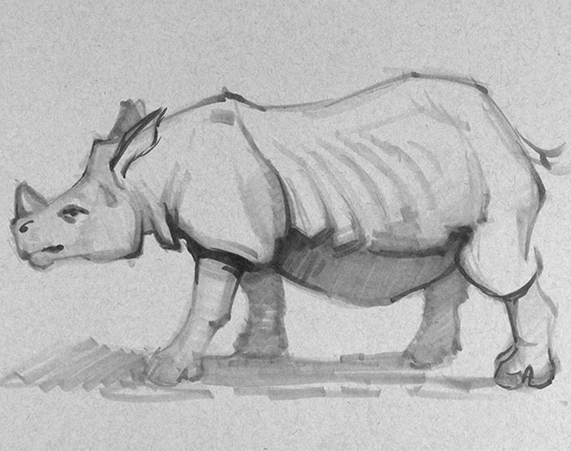 stan prokopenko sketch rhinoceras