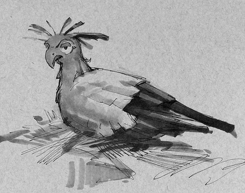 stan prokopenko sketch secretary bird