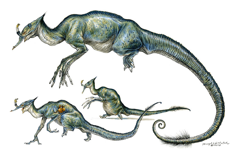 terryl whitlatch illustration