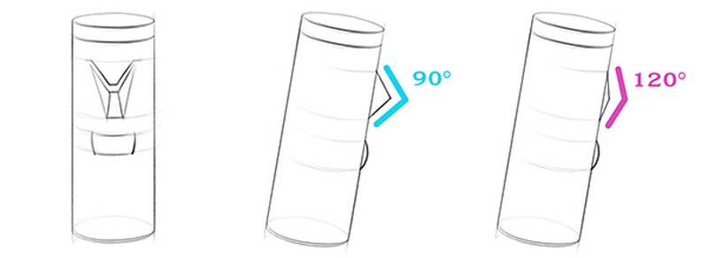 thyroid cartilage gender comparison drawings