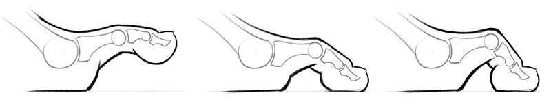 side view of the toes gripping the ground