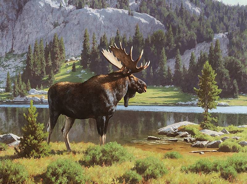 tucker smith moose at dean lake painting