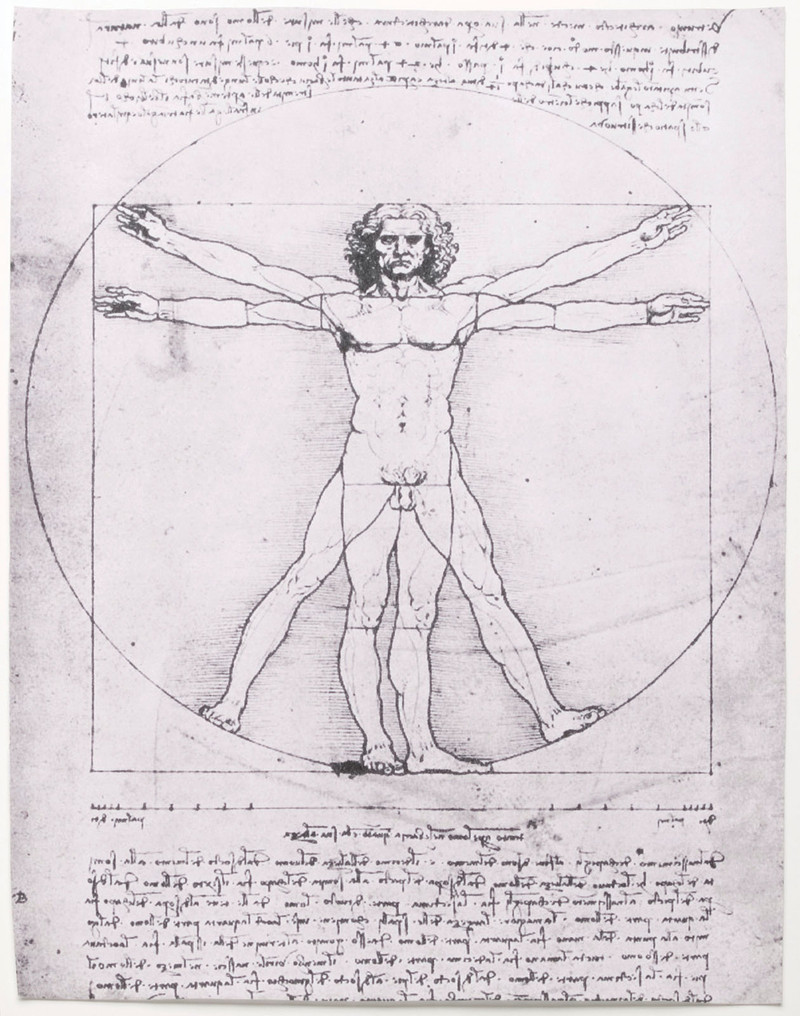 vitruvian man leonardo da vinci gallerie dellaccademia